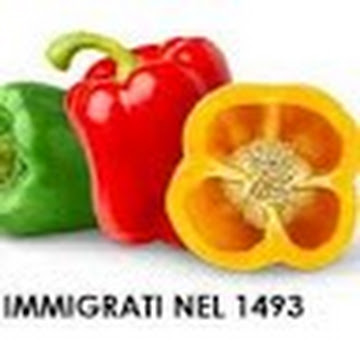 Foto profilo di Giuseppe